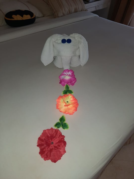 Zimmer Makadi Spa - Adults only