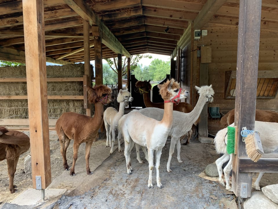 Sport & Freizeit Natur Resort Rissbacher