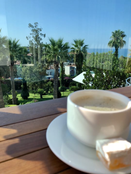 Gastro Side Star Elegance