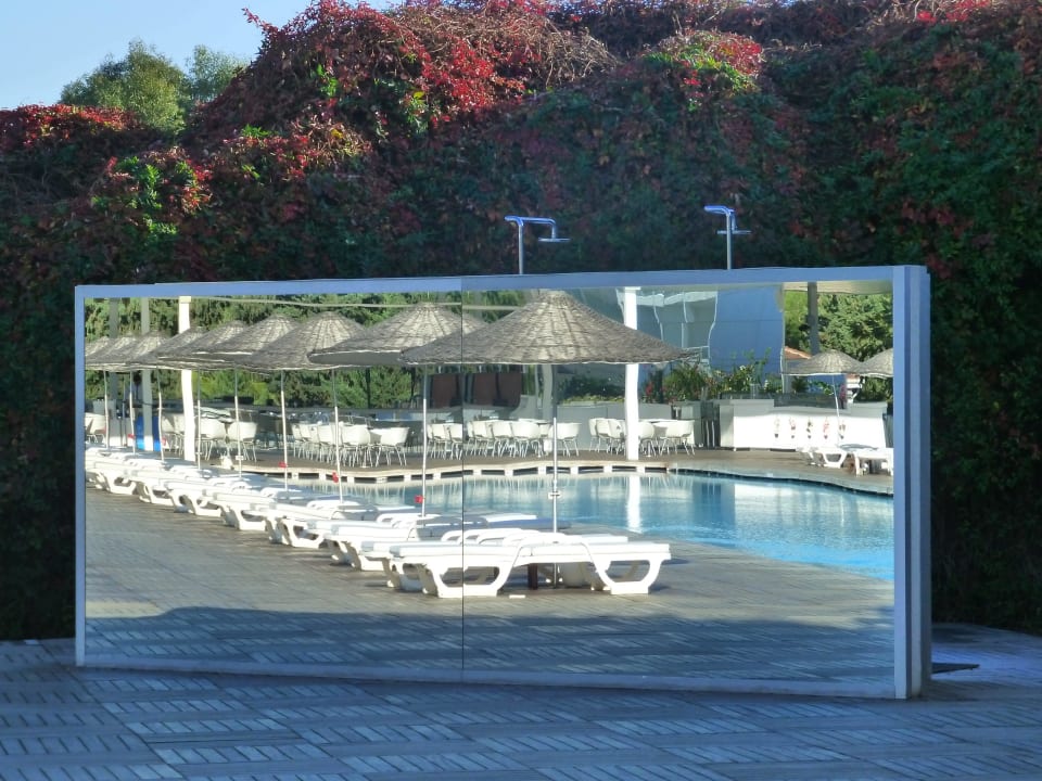 Fotosafary ... was ist was ?  Hotel SU & Aqualand