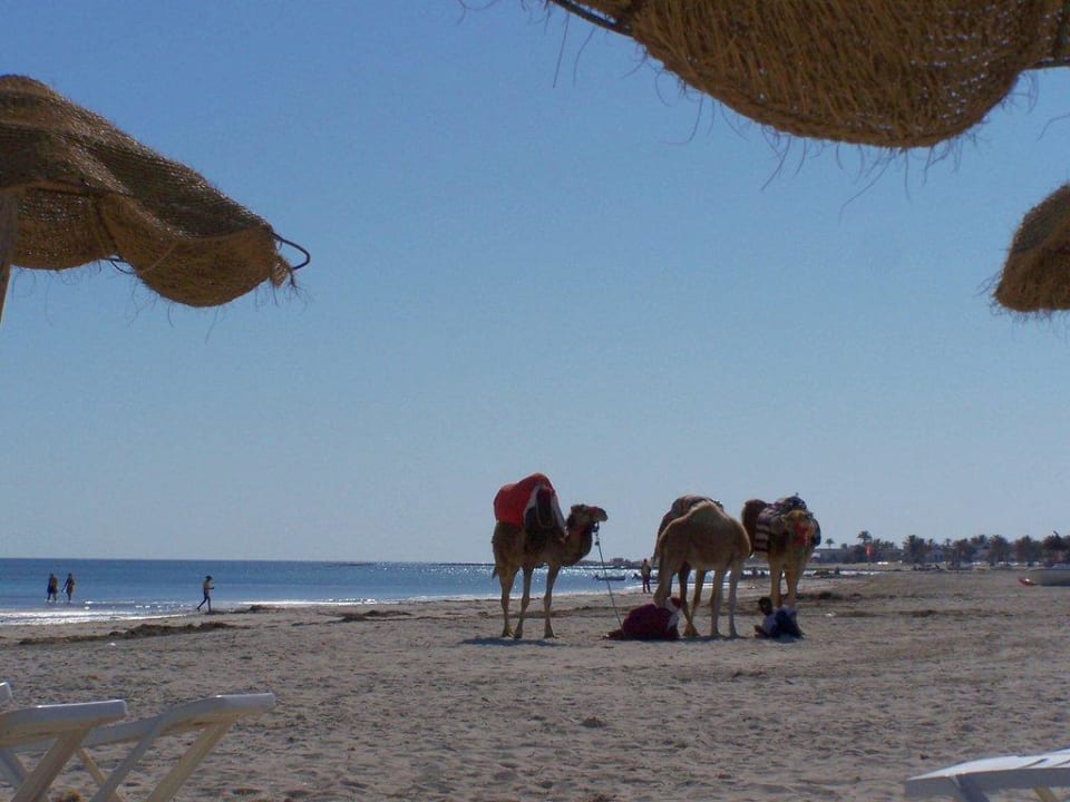 Pláž Iberostar Waves Mehari Djerba