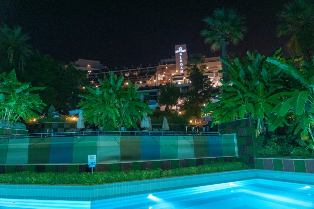 Pool Side Star Elegance