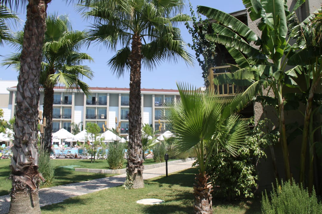Bungalow Paloma Oceana