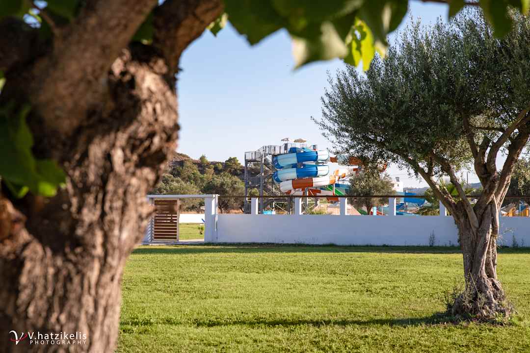 Gartenanlage Olive Garden Hotel