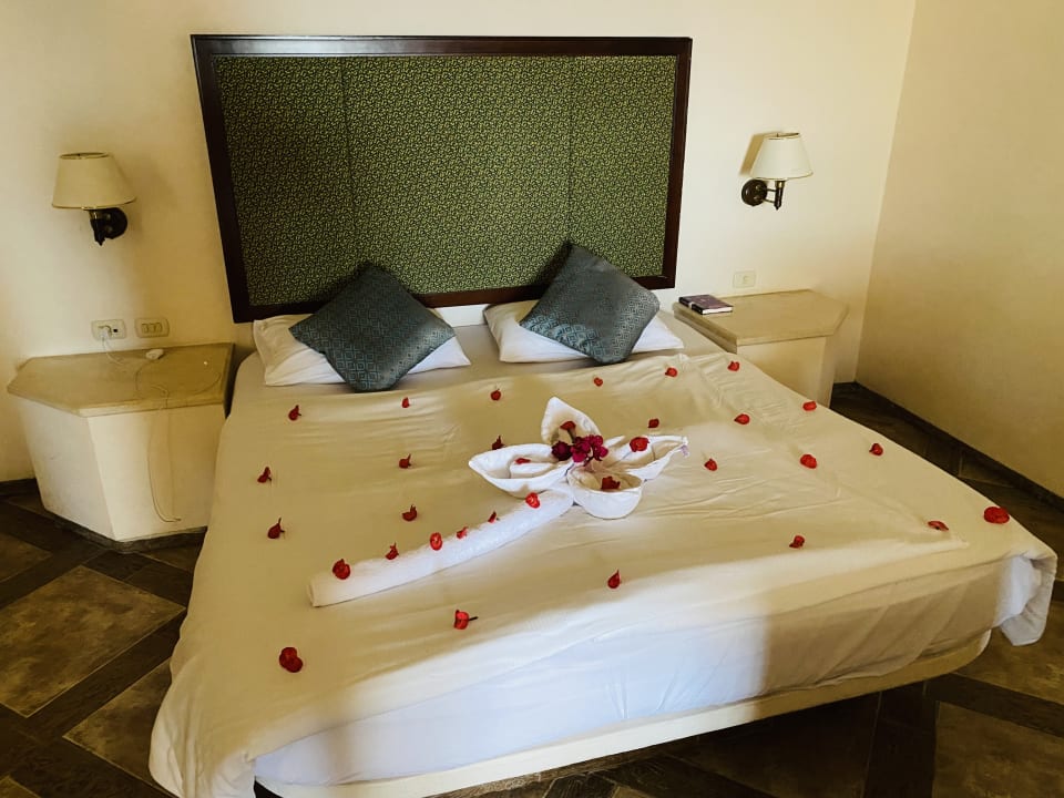 Zimmer Pickalbatros Citadel Resort