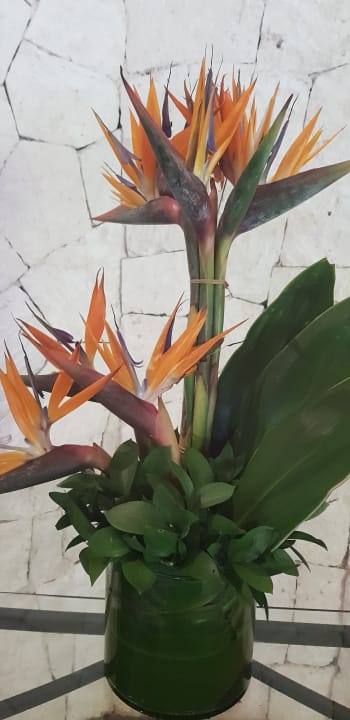 Lobby Akumal Bay Beach & Wellness Resort