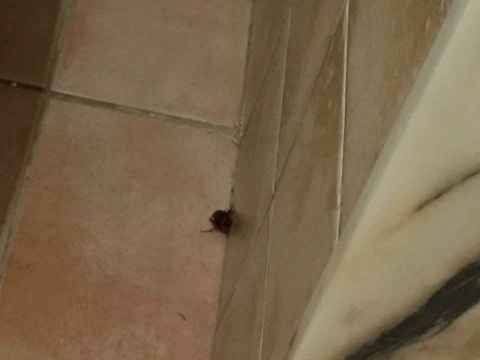 Zimmer H10 Playa Esmeralda - Adults only