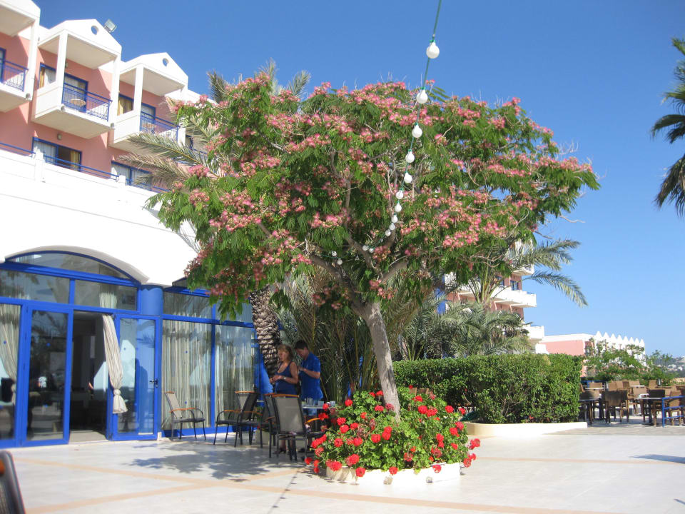 Aussen Kresten Palace Hotel