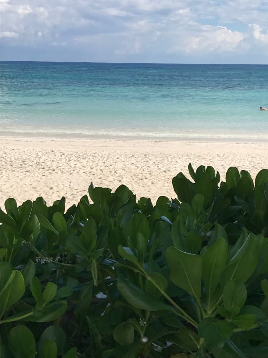 Strand Akumal Bay Beach & Wellness Resort