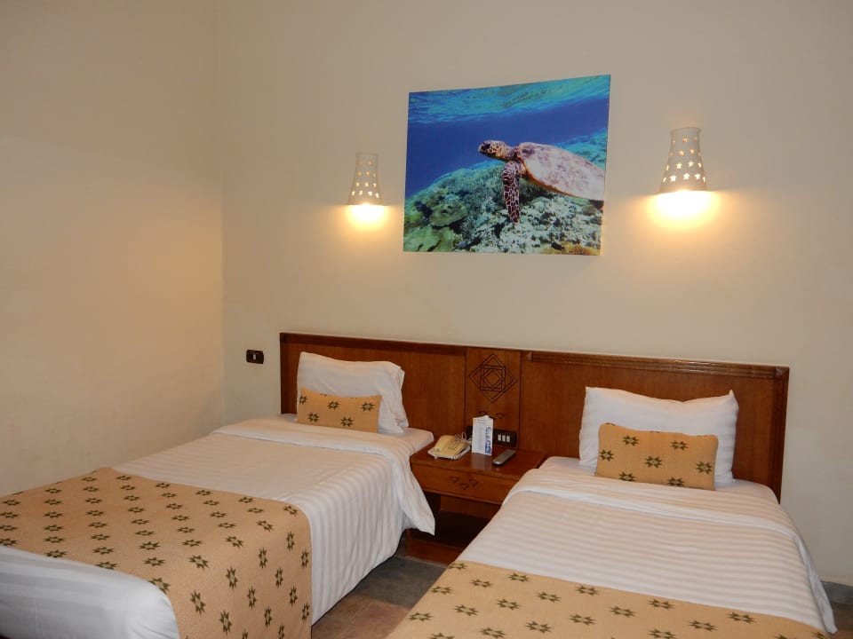 Zimmer Three Corners Equinox Beach Resort