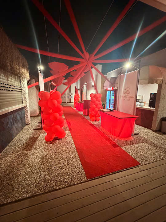 Strand Seashell Vega