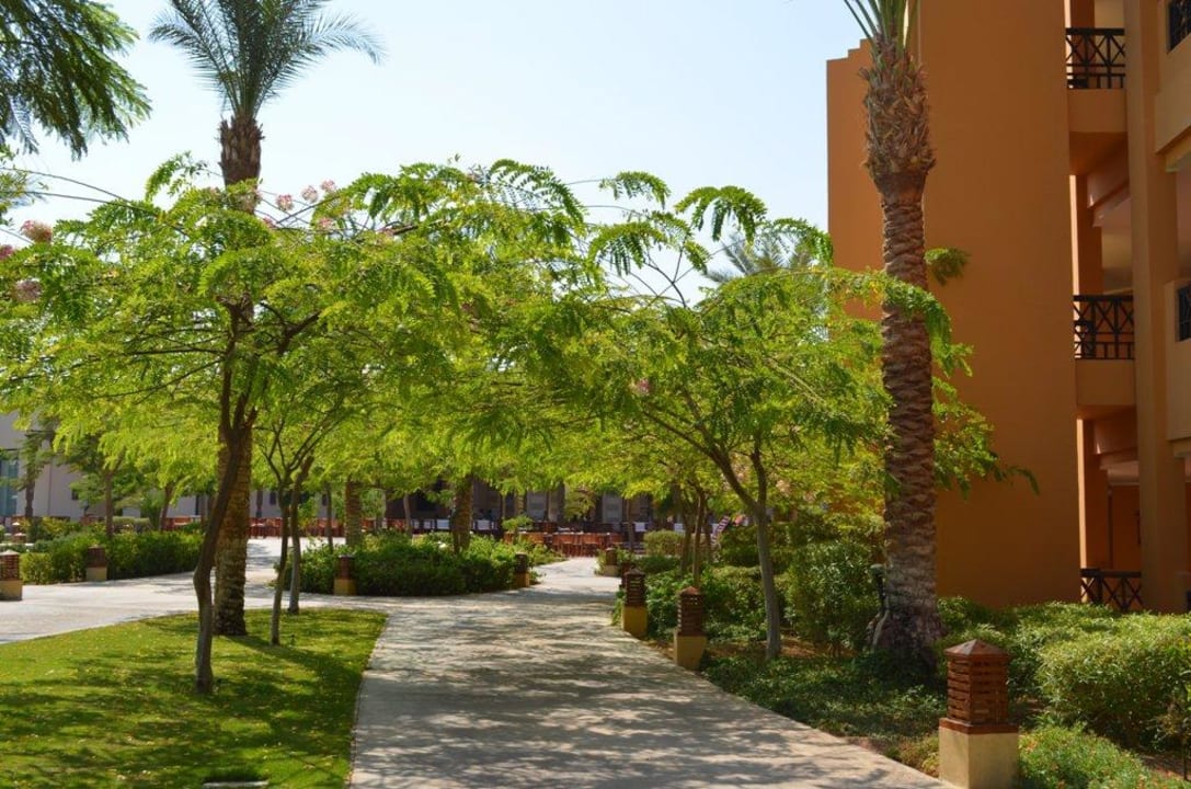 Ogród  Stella Beach Resort & Spa Makadi Bay