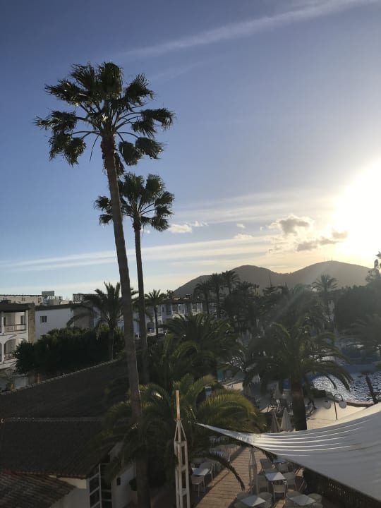 Gartenanlage Alcudia Garden Aparthotel