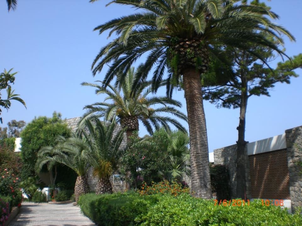Alter üppiger Baum-und Pflanzenbestand Aldiana Club Rocca Nettuno Calabria