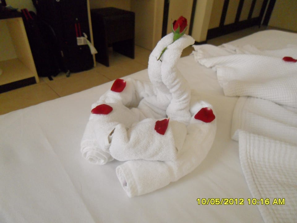 Sehr schön arangiert vom Personal Hotel Orfeus Park