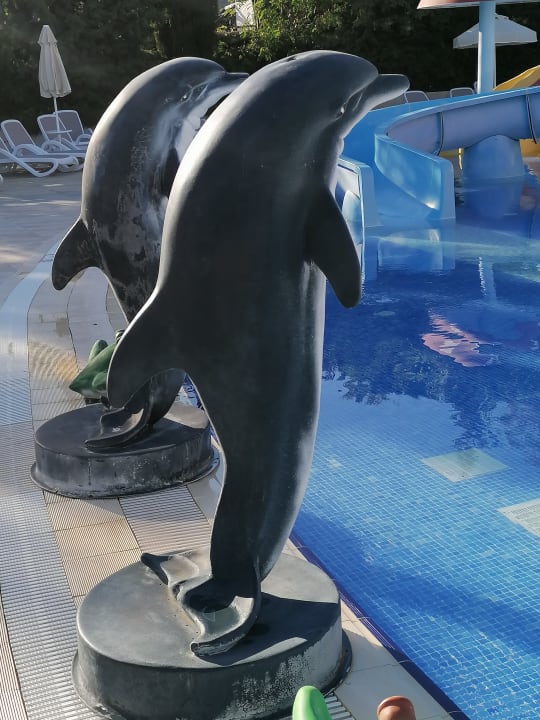 Pool Seaden Sea Planet Resort & Spa