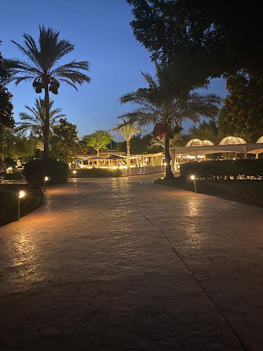 Außenansicht Desert Rose