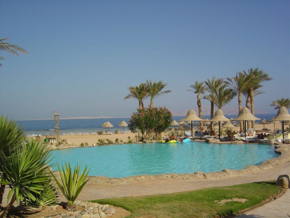 kleinerer Pool unten beim Strand Parrotel Beach Resort