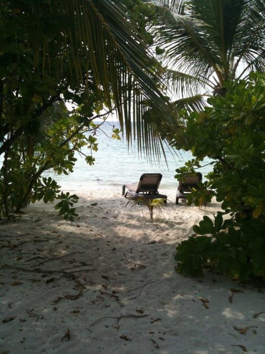 Ruhiger Strandabschnitt Kuredu Island Resort & Spa