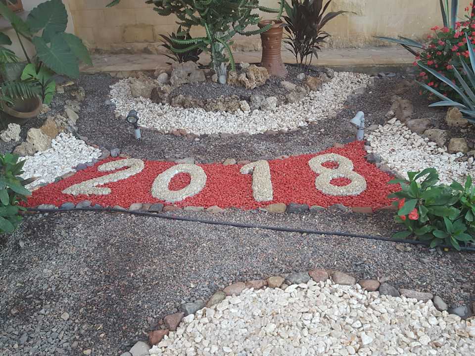 Gartenanlage Pickalbatros Palace Resort