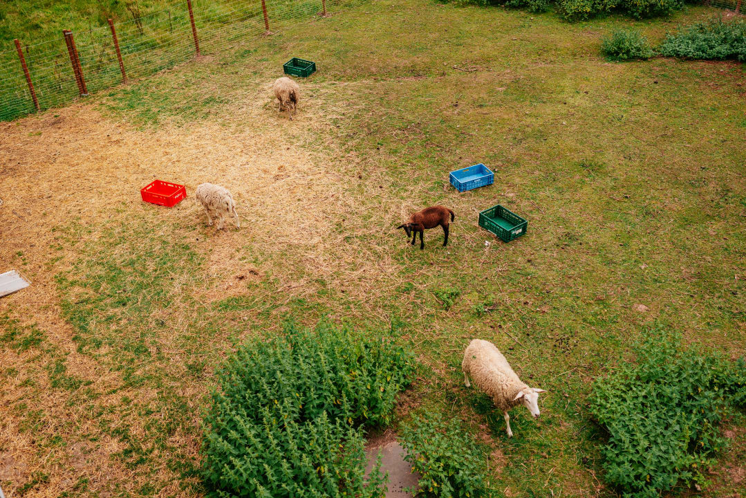 Sonstiges Hotel Restaurant 7 Berge am Schlehberg