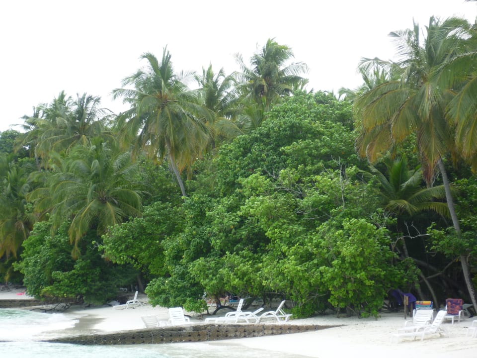 Flora und Fauna Adaaran Club Rannalhi - All Inclusive