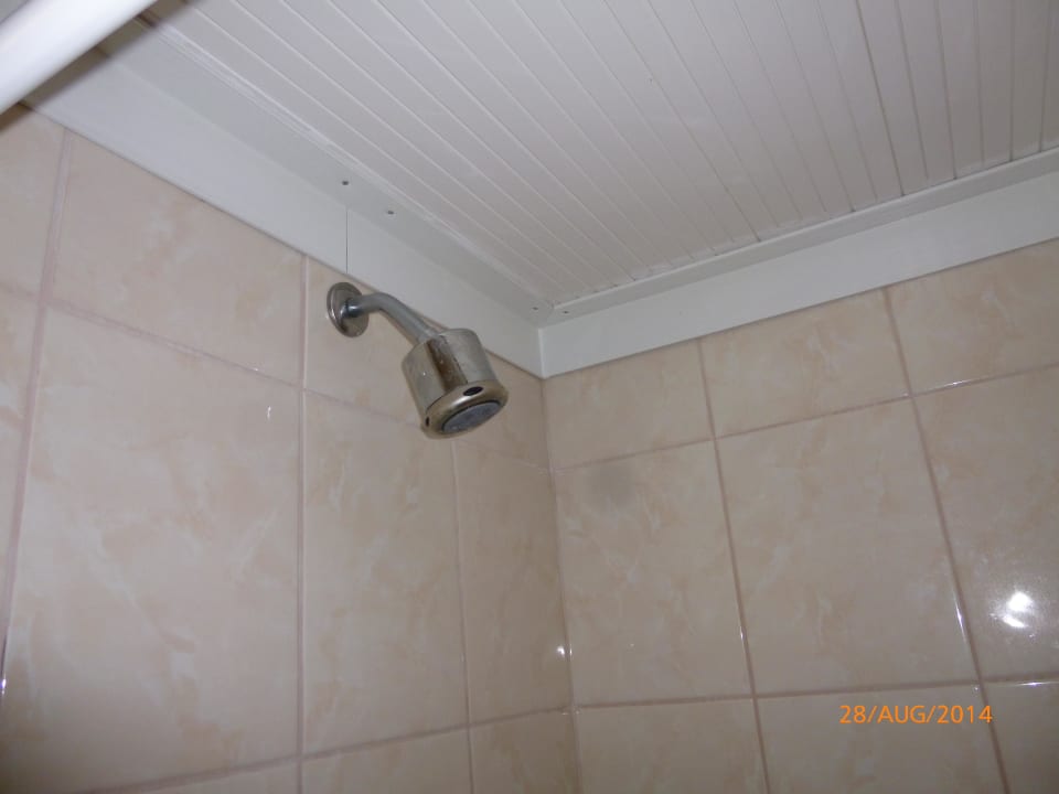 Duschkopf ohne Worte Club Resort Atlantis