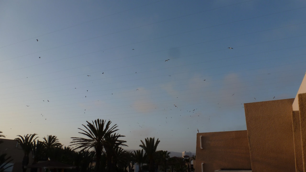 Ausblick Dunes D'or Ocean Club
