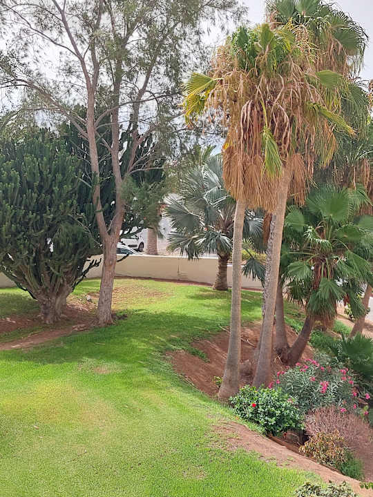 Ausblick allsun App.-Hotel Esquinzo Beach