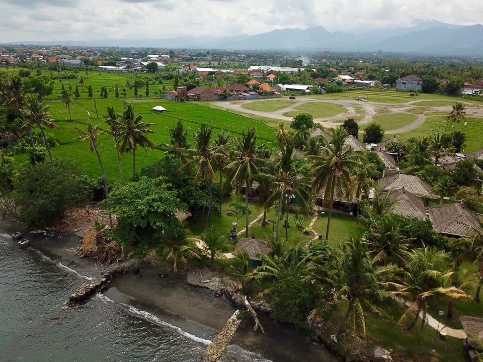 Hotel Puri Bagus Lovina