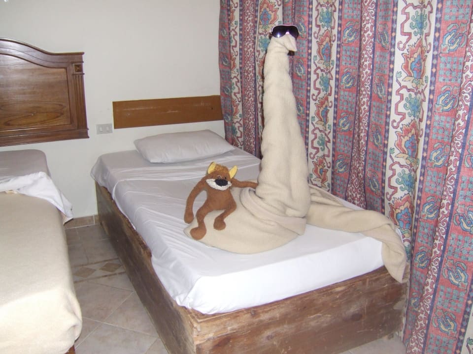 Лебедь и кот Shams Safaga Resort