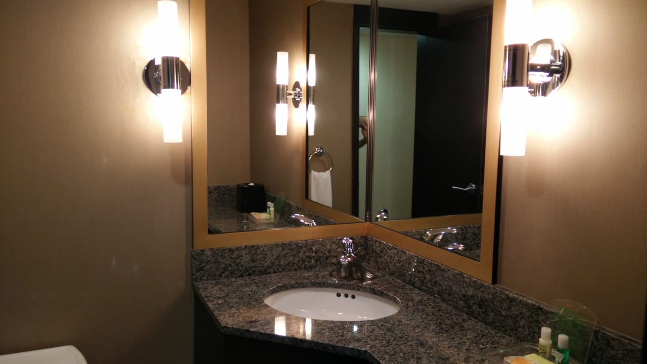 Zimmer Holiday Inn Toronto Downtown Centre