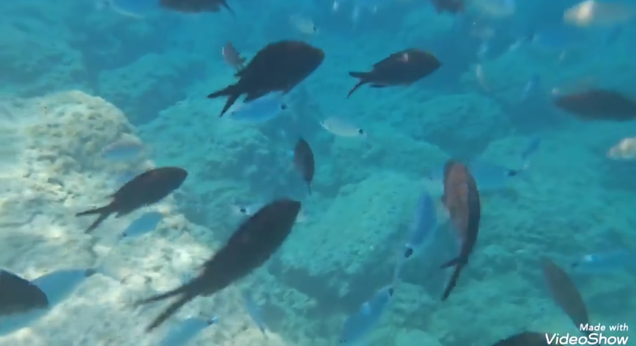 Strand Crystal Springs Beach Hotel