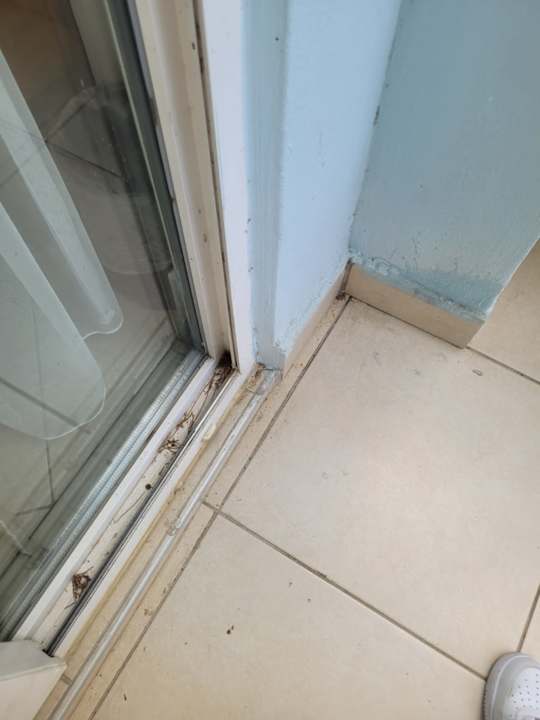 Zimmer Prenses Sealine Beach Hotel