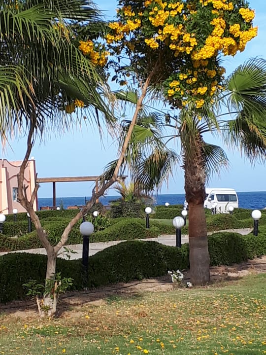 Ausblick Three Corners Happy Life Beach Resort