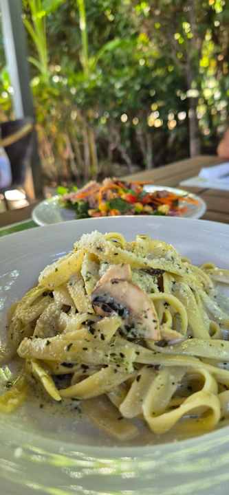 Gastro Royal Seginus