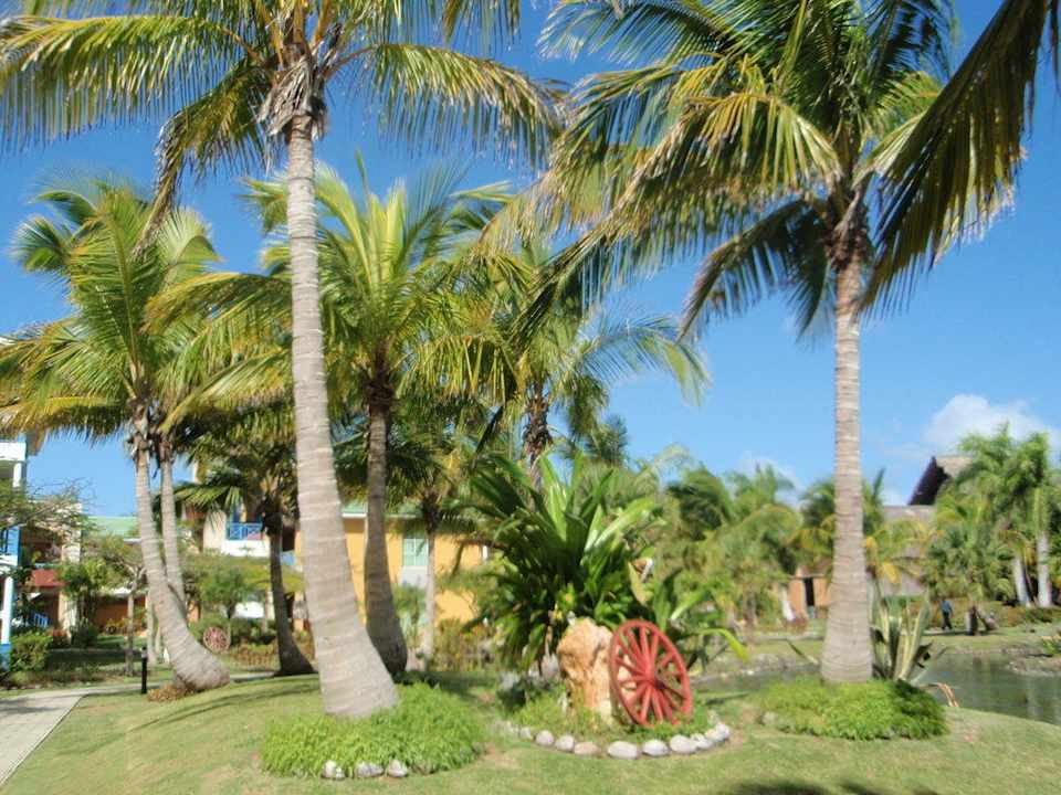 Hotel Melia Las Antillas Melia Las Antillas - Adults only