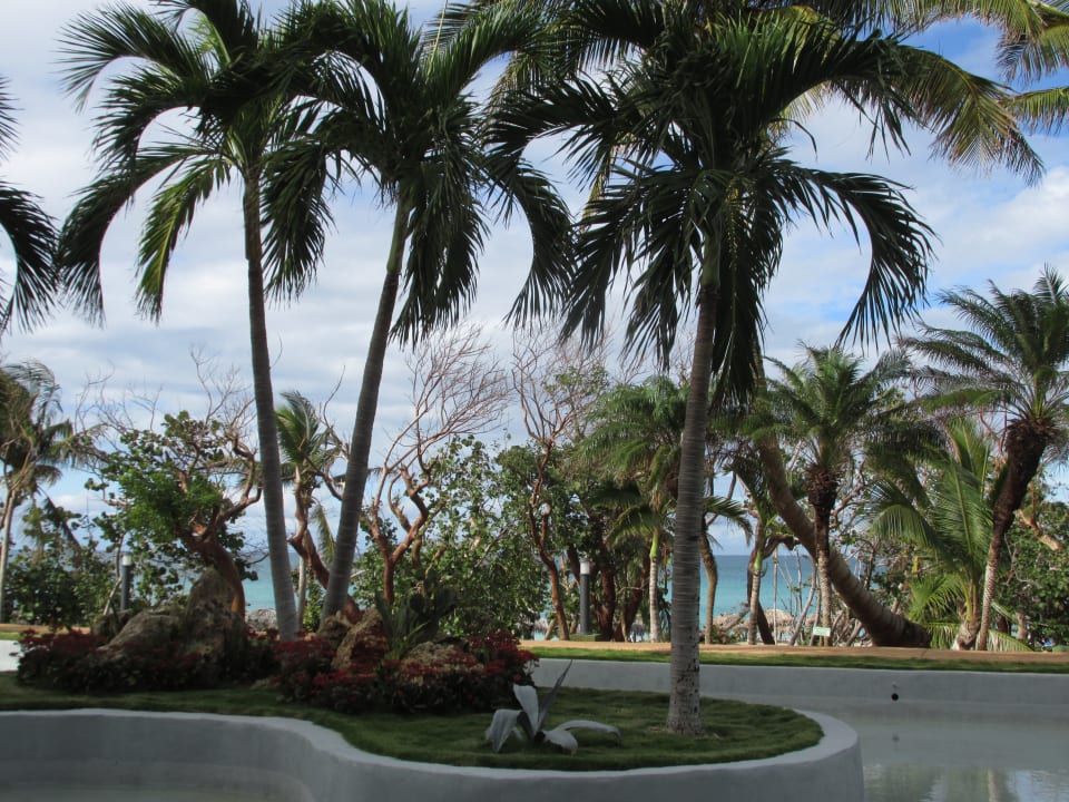 Gartenanlage Sirenis Tropical Varadero