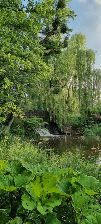 Gartenanlage Pałac i Folwark Galiny
