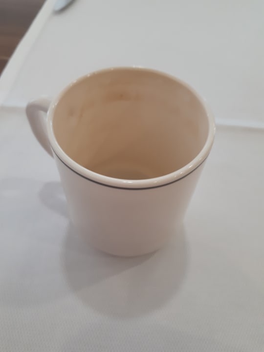 Gastro Crystal Family Comfort Collection