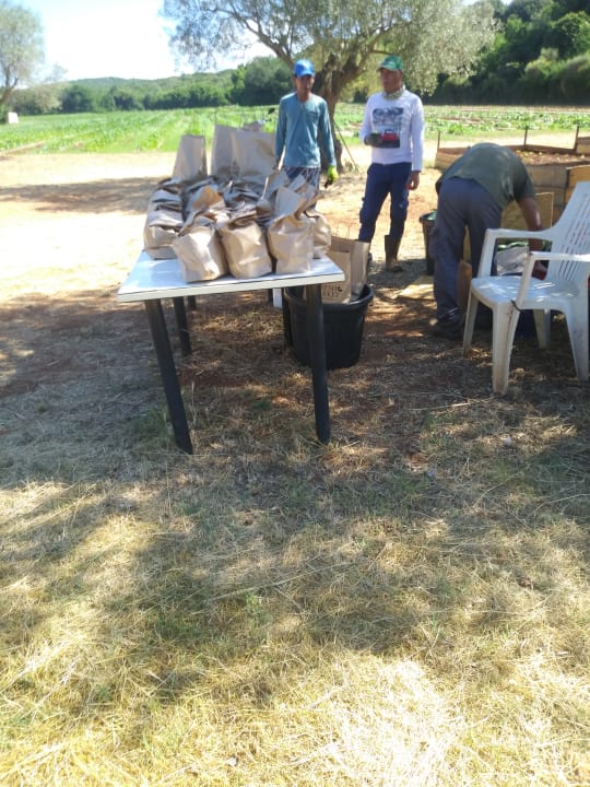 Sonstiges Mobile Homes Mon Perin