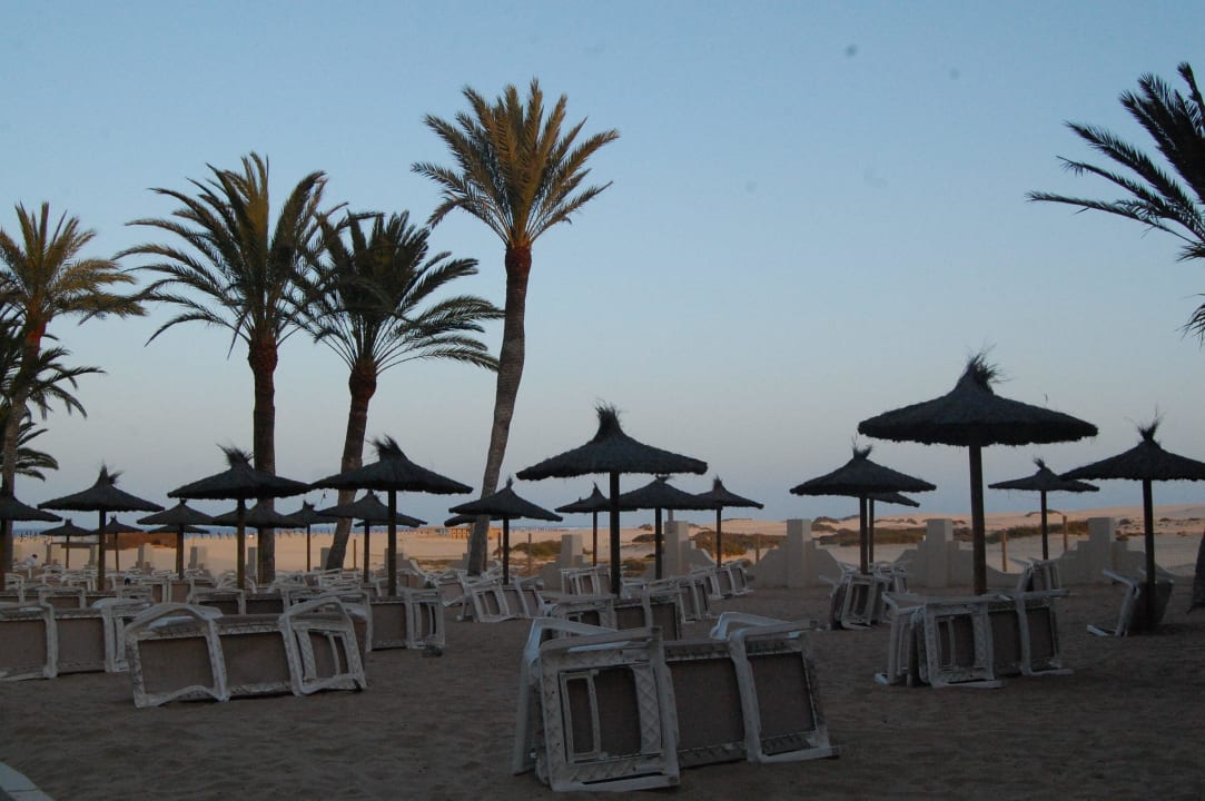 Strand am Hotelgelände Hotel Riu Oliva Beach Resort