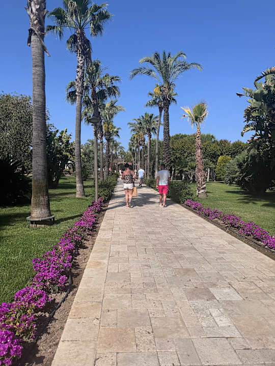Ausblick Calimera Serra Palace