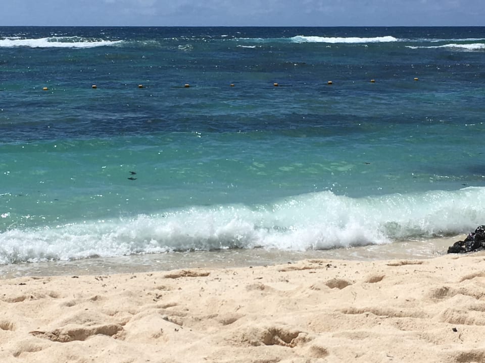 Strand Radisson Blu Poste Lafayette Resort & Spa - Adults only