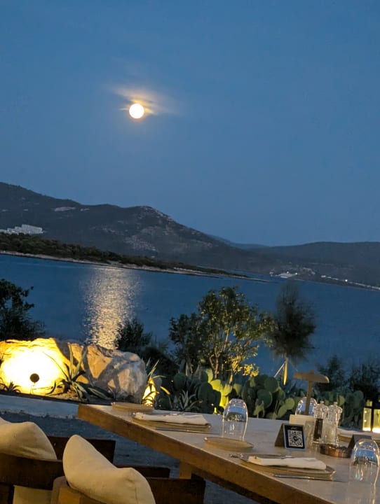 Ausblick Anda Barut Collection