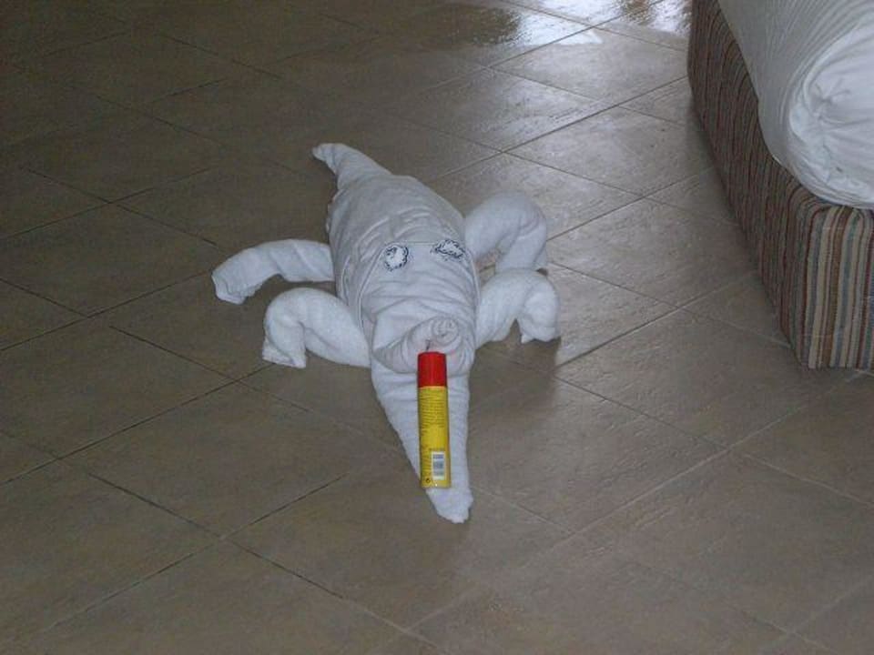 Krokodil Titanic Beach Spa & Aqua Park