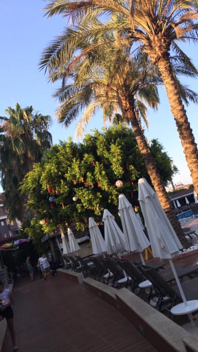 Sonstiges Hane Family Resort