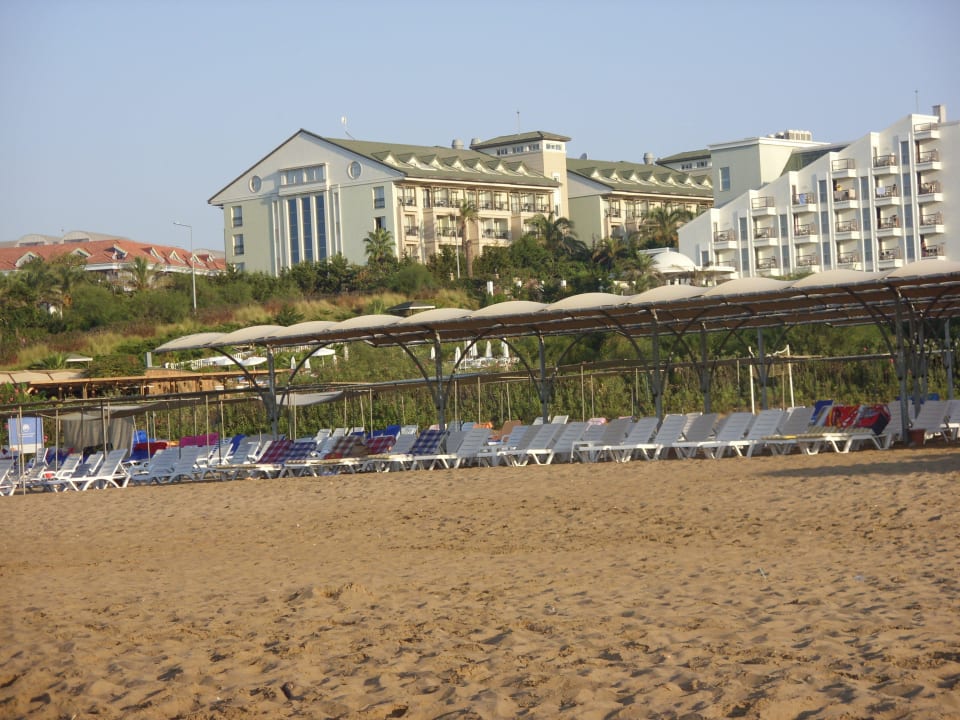 Diese Strandliegen gehören zum Hotel Linda Sunny Beach Hotel & Spa