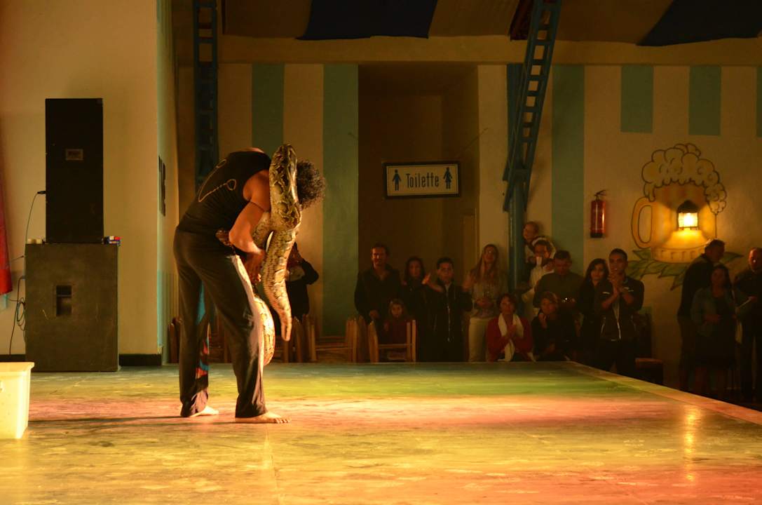 Hotelowe animacje Pickalbatros Alf Leila Wa Leila Resort - Neverland Hurghada