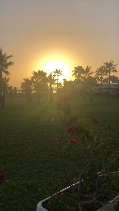 Strand Süral Saray Hotel